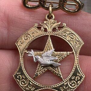 Gold Plated  Daughter of Rebekah Fraternal Order Odd Fellows Star Brooch